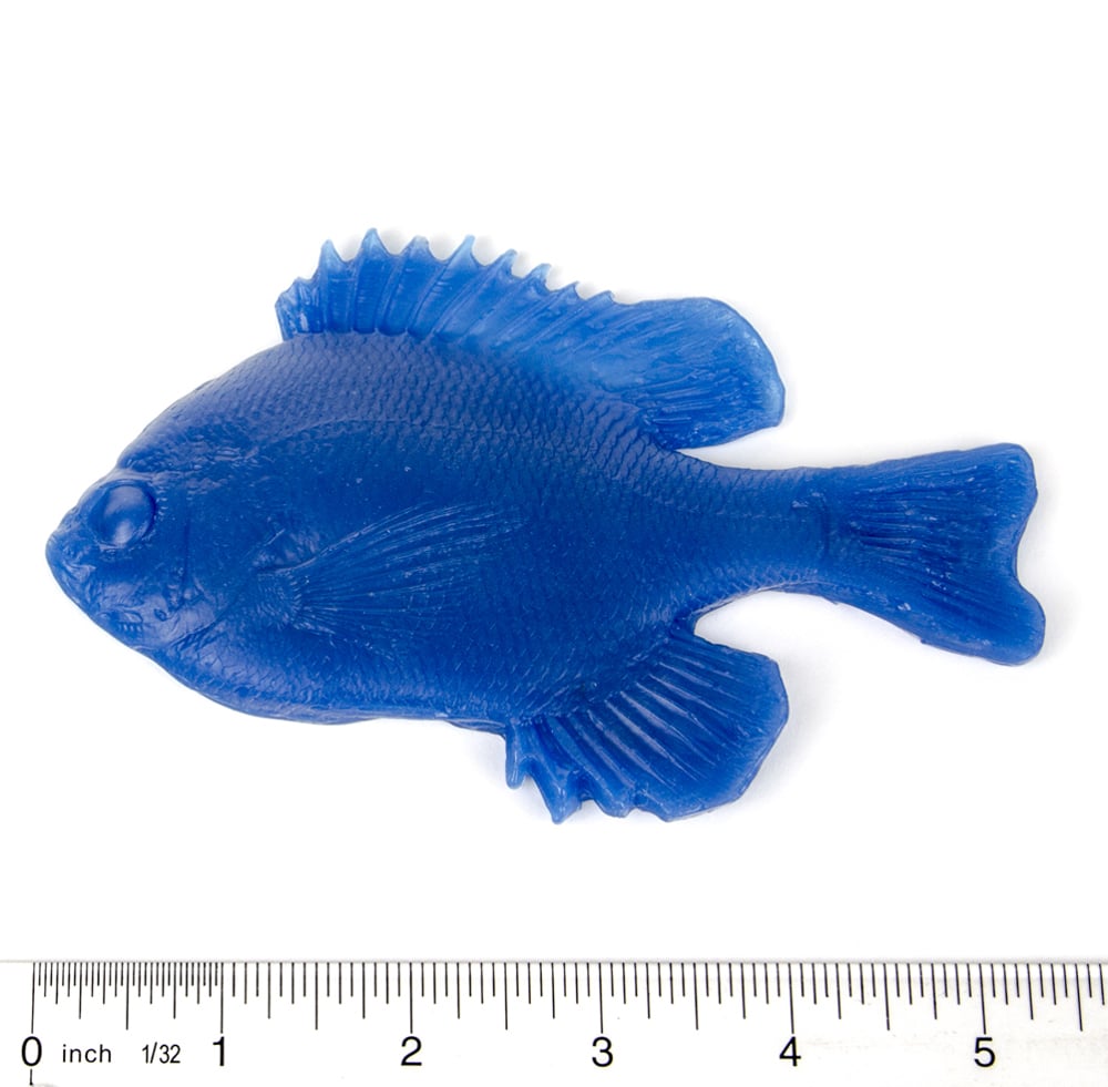 Bluegill Fish Replicas