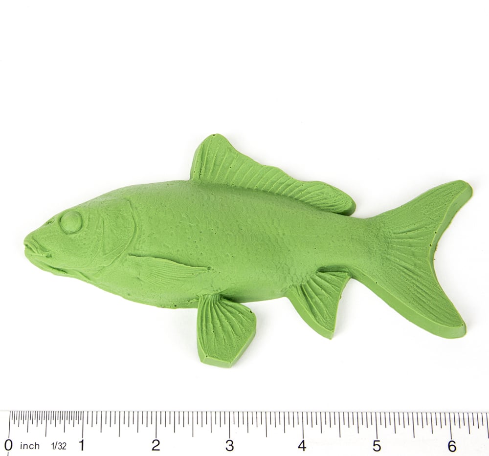 Carp Fish Printing Replica