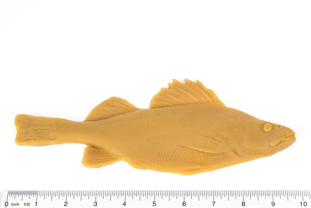 Perch Lake Fish Printing Replica