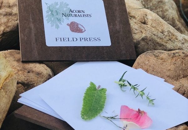Field Press with Flowers and Leaves