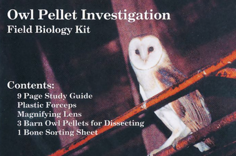 An Owl Pellet Investigation – Resources – K-12 Education