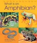 What Is An Amphibian? (Animal Kingdom Series For Ages 5-6)