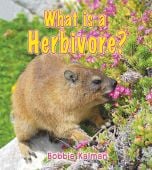 What Is A Herbivore? (Big Science Ideas Series)