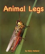 Animal Legs (Animal Senses & Anatomy Series)
