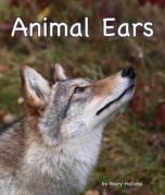 Animal Ears (Animal Anatomy & Adaptations Series)