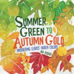 Summer Green to Autumn Gold: Uncovering Leaves’ Hidden Colors