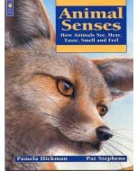 Animal Senses: How Animals See, Hear, Taste, Smell, and Feel