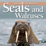 Exploring the World of Seals & Walruses