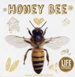 Honey Bee (Life Cycles Series)