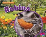 Robins (Backyard Bird Series)