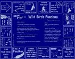 Knee High to Wild Birds Scarf (Fundana® Knee High Bandana)