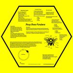 Busy Bees Scarf (Fundana® Bandana)