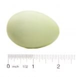 Duck (Mallard) Egg Replica