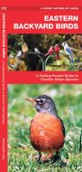 Eastern Backyard Birds (Pocket Naturalist® Guide).
