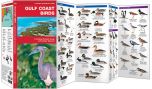 Gulf Coast Birds (Pocket Naturalist® Guide).