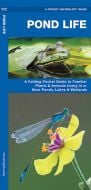 Pond Life (Pocket Naturalist® Guide).