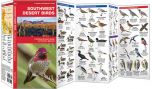 Southwestern Desert Birds (Pocket Naturalist® Guide).