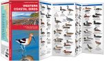 Western Coastal Birds (Pocket Naturalist® Guide).