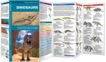 Dinosaurs (Pocket Naturalist® Guide).