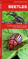 Beetles Of North America (Pocket Naturalist® Guide).