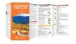 Wilderness First Aid (Pathfinder Outdoor Survival Guide™).