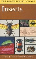 Insects Of North America (Peterson Field Guide)