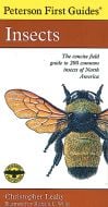 Insects (Peterson First Guide)