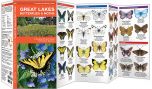 Great Lakes Butterflies & Moths (Pocket Naturalist® Guide).