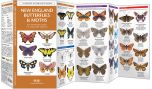 New England Butterflies & Moths (Pocket Naturalist® Guide)
