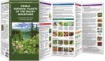 Edible Plants Of The Rocky Mountains (Pocket Naturalist® Guide).