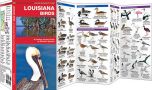 Louisiana Birds (Pocket Naturalist® Guide)