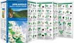 Arkansas Trees & Wildflowers (Pocket Naturalist® Guide)