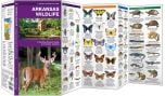 Arkansas Wildlife (Pocket Naturalist® Guide)