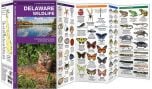 Delaware Wildlife (Pocket Naturalist® Guide).