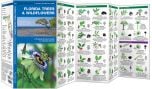 Florida Trees & Wildflowers (Pocket Naturalist® Guide).