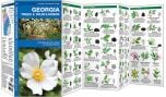 Georgia Trees & Wildflowers (Pocket Naturalist® Guide)