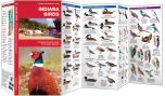 Indiana Birds (Pocket Naturalist® Guide)