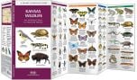 Kansas Wildlife (Pocket Naturalist® Guide).