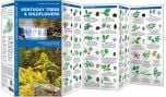 Kentucky Trees & Wildflowers (Pocket Naturalist® Guide).