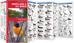 Maryland & Dc Birds (Pocket Naturalist® Guide).