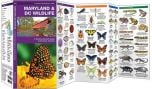 Maryland & Dc Wildlife (Pocket Naturalist® Guide).