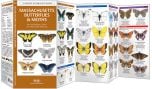 Massachusetts Butterflies & Moths (Pocket Naturalist® Guide).