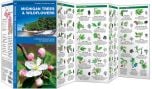 Michigan Trees & Wildflowers (Pocket Naturalist® Guide).