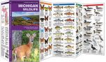 Michigan Wildlife (Pocket Naturalist® Guide).