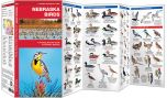 Nebraska Birds (Pocket Naturalist® Guide)