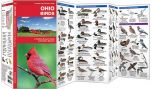 Ohio Birds (Pocket Naturalist® Guide).
