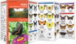 Ohio Butterflies & Moths (Pocket Naturalist® Guide).