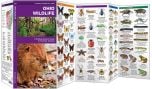 Ohio Wildlife (Pocket Naturalist® Guide)