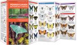 Pennsylvania Butterflies & Moths (Pocket Naturalist® Guide).