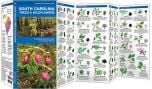 South Carolina Trees & Wildflowers (Pocket Naturalistֳ‚ֲ® Guide).